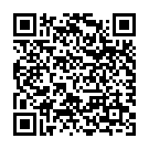 QR Holistica Vitamin C Acerola Tabletten 60 Stück buy online