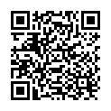 QR Herba Saphir Nail File 9cm Chrome-plated buy online
