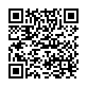 QR Flawa First Aid Rettungsdecke 160x210cm buy online