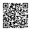 QR Gigafit Energienahrung Konzentrat Flasche 500ml buy online