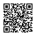 QR Kiss Knieschiene II 20? 50cm Lang buy online