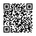 QR Laubscher Beaverklingen 24 Stück buy online
