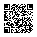 QR Stamina Plus Batterie Lr 03 / Aaa 4 Stück buy online