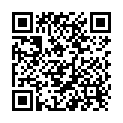 QR Burgerstein Eisen plus capsules Ds 150 pieces buy online