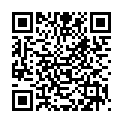 QR Recozit Dekorativer Fliegenköder 4 Stück buy online