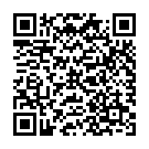 QR Pari Filtereinsatz Boy Typ 38.xx 85.xx Walkb 5 Stück buy online