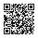 QR Wellstone massage roller jade buy online