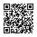 QR Wellstone massage roller rose quartz buy online
