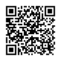QR Ideal Maxi Baumwolle Nr. 41 Anis Grün buy online