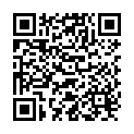 QR Ameda Lactaline car cable 12v buy online