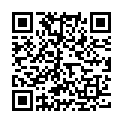 QR Braun Rückschlagventil 50 Stück buy online