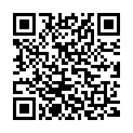QR Sonnentor Basen Ausgleich Tee 50g buy online