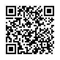 QR Lysoform Blanchipon Reinigungskonz Universal 1L buy online