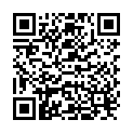 QR Finito Fliegenkoeder Dekorativ 4 Stück buy online