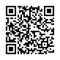 QR Abbott FreeStyle Lite test strips 100 pcs