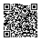 QR Boston Simplus Ein-Flaschen-Universallösung 120ml buy online