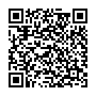 QR Medela Ersatzsauger 2 Stück mit schwachem Fluss Grösse S buy online
