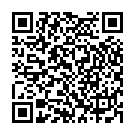 QR Zetuvit Plus Absorptionsverband 10x20cm 10 Stück buy online