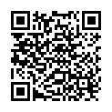 QR Hagerty Professional Cloth 30x24cm buy online
