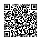 QR Mainardi Bernstein Babykette Farbig 32cm Magnetverschluss buy online