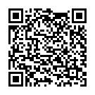 QR Mainardi Bernstein Babykette Splitter 32cm Magnetverschluss buy online