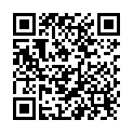 QR Bromex Foamer Nachfüllflasche 150ml buy online