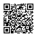 QR Theriaca Venecienne Schwedenelixir 500ml buy online