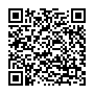 QR Raffin Praezisionsschere 13cm Edelstahl Spi/spi St buy online