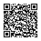 QR Medela Milchflasche 250ml 2 Stück bedruckt mit Deckel buy online