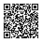 QR BD Plastipak Wund Blasenspritze 100ml 3-teilig buy online