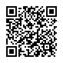 QR Okklupetz Augenpflaster Midi Natur 100 Stück buy online