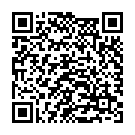 QR Patient Diagnostics Schwangerschaftsfruehtest 2 Stück buy online