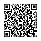 QR Rüsch Brill Ballon Kathet Ch16 5-10ml Tie St 5 Stück buy online