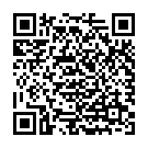 QR Amberstyle Bernstein 32cm Cogn Citrin Magnetversch buy online