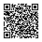 QR Amberstyle Bernstein 32cm Cogn Hell Magnetversch buy online