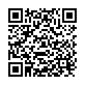 QR Holle Hirseflocken Bio 500g buy online