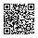 QR Avel Leder Pflegebalsam Flüssig Schwarz 500ml buy online
