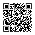 QR Avel Leder Anti Flecken Spray 400ml buy online
