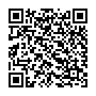 QR Avel Fleckenentf Leder U Textilien Aeros 200ml buy online