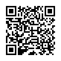 QR Iv3000 Windowframe 10x12cm 50 Stück buy online