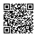 QR Primeal Agavensirup 330ml buy online