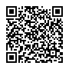 QR Ameda cooler bag for backpack or tote bag buy online