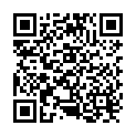 QR Blumenbrot Buchweizen Bio 300g buy online