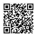 QR Aromasan Weihnacht + Winteratmosphaere Ätherisches Öl 20 buy online