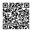 QR Vasco Nitril Light Handschuhe Grösse XL 90 Stück buy online