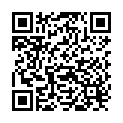 QR Phytopharma Cranberry Tee 20 Beutel buy online