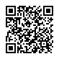 QR Alpine party plug earplugs 1 pair buy online
