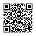 QR Wala Meteoreisen/phosphor/quarz Globuli 20g buy online
