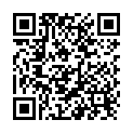 QR Bibi Blinddeckel 20 Stück buy online