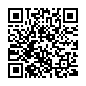 QR Holderhof Ice Tea Alpine Bio Petflasche 5dl buy online